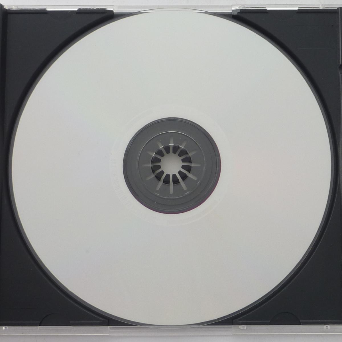 Bo Diddley Rockin' Bo CD Compilation