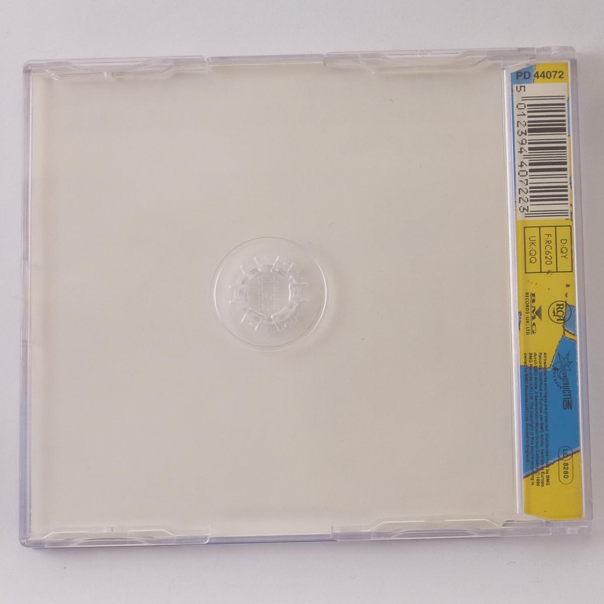 Criminal Element Orchestra Featuring Wendell Williams Everybody (Rap) CD Single