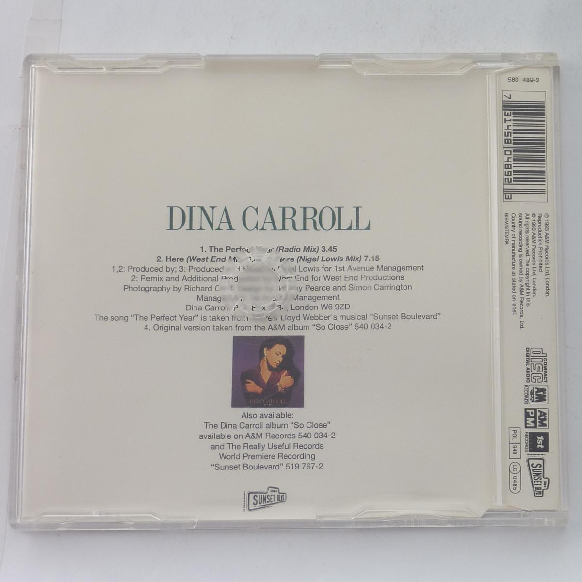 Dina Carroll The Perfect Year CD Single