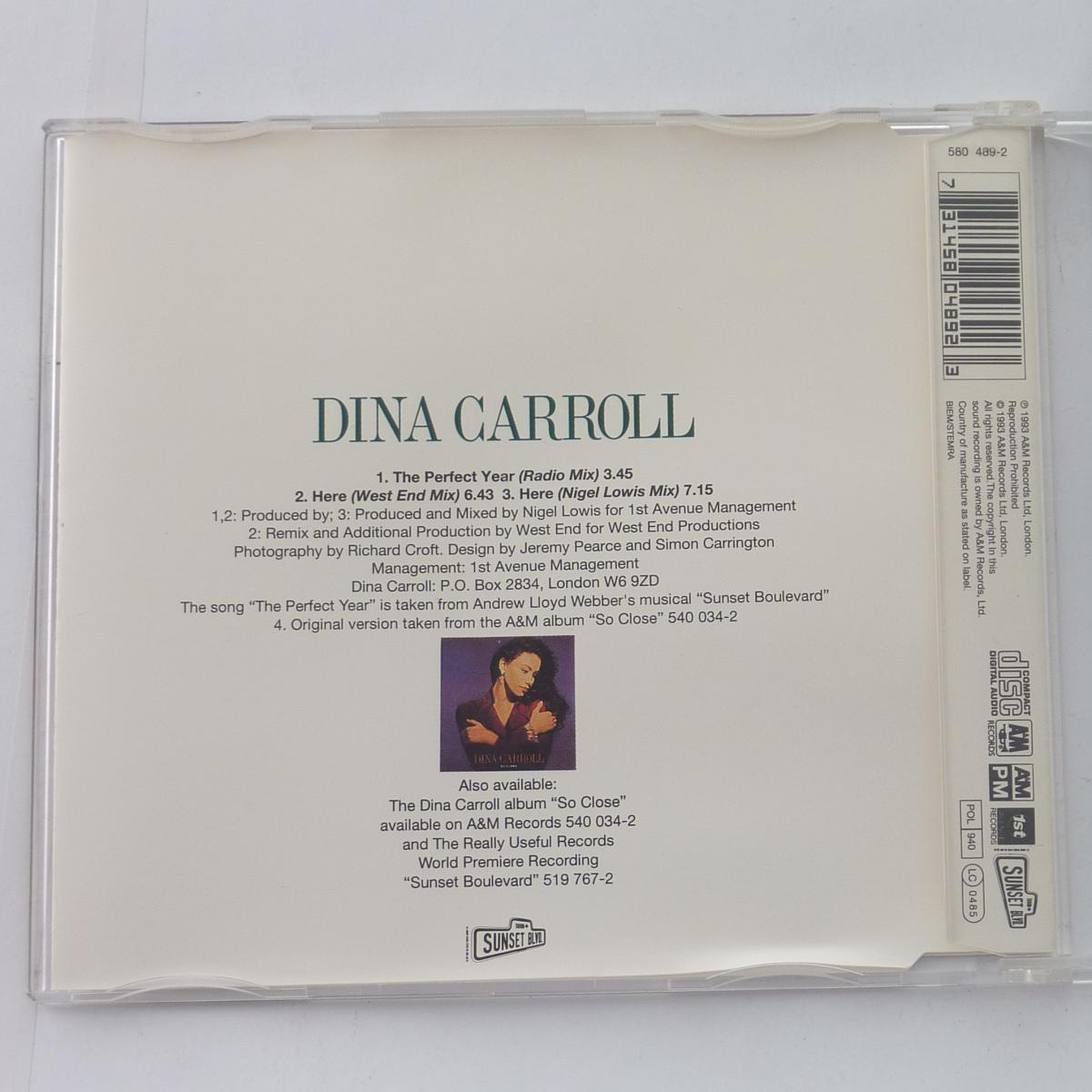 Dina Carroll The Perfect Year CD Single