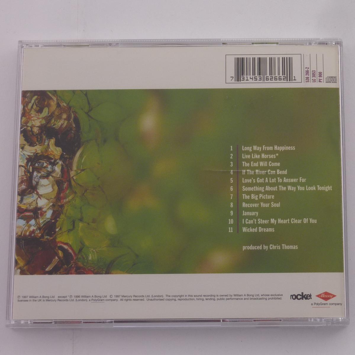 Elton John The Big Picture CD Album PMDC UK