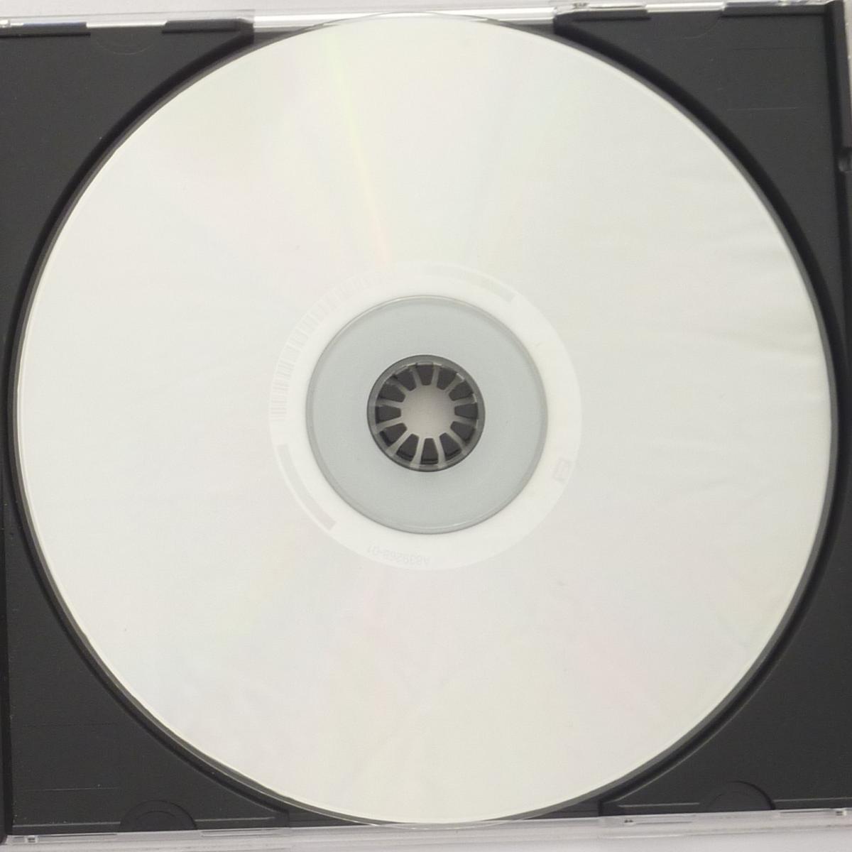 The Gaslight Anthem The '59 Sound CD Album