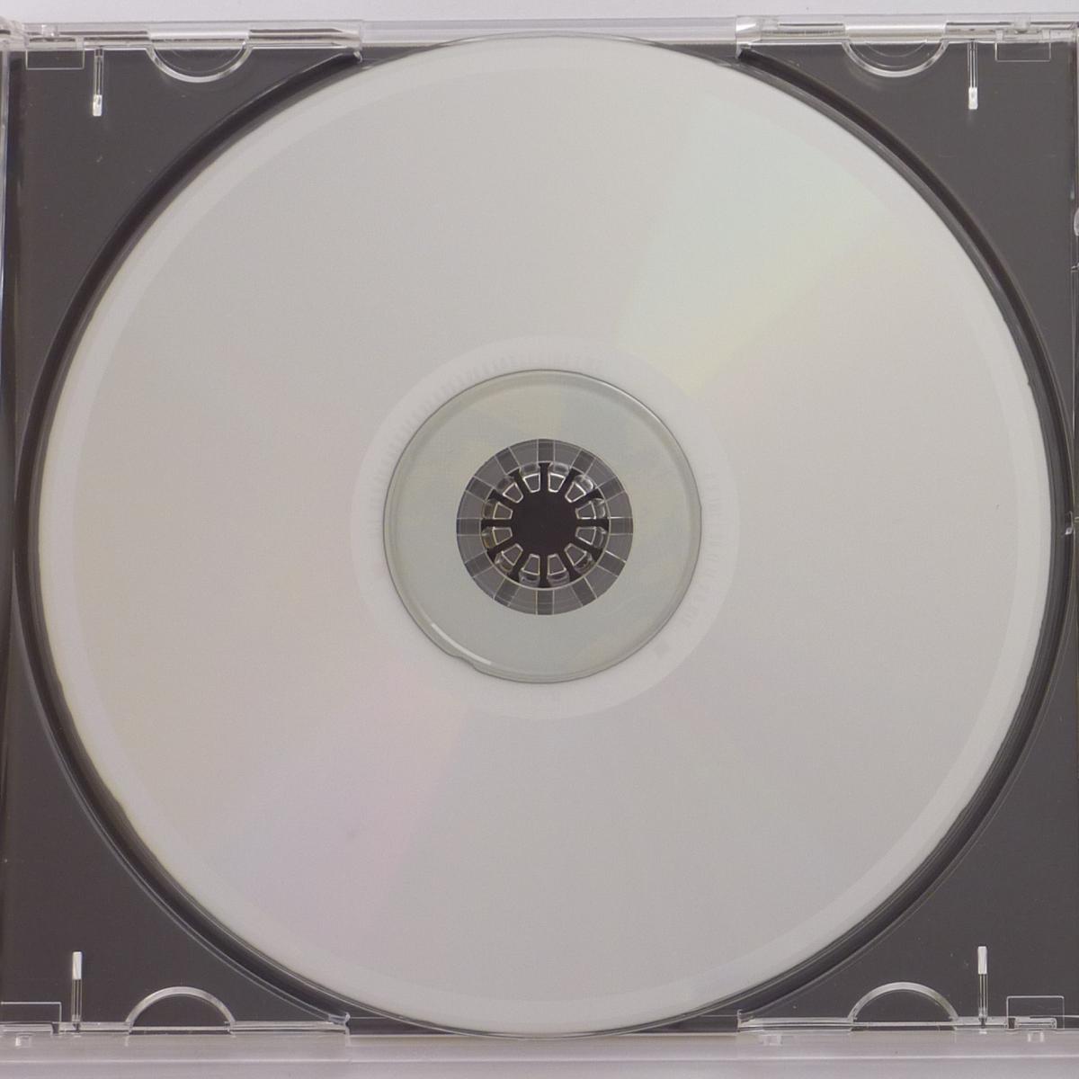 Various Roots Of Nirvana (Distorted Sounds From The Punk Underground) CD Compilation